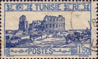 timbre succulent