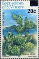 timbre succulent