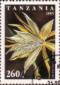 timbre succulent