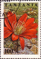 timbre succulent
