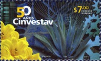 timbre succulent
