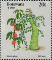 timbre succulent