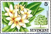 timbre succulent