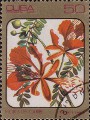 timbre succulent