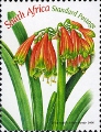 timbre succulent