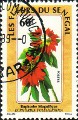 timbre succulent