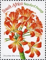 timbre succulent