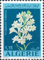timbre succulent