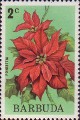 timbre succulent