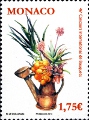 timbre succulent