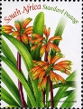 timbre succulent