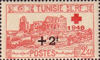 timbre succulent