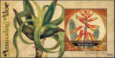 timbre succulent