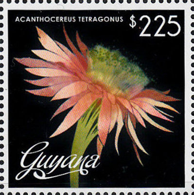 Guyana