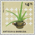 timbre succulent