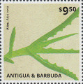 timbre succulent