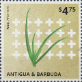 timbre succulent