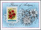 timbre succulent