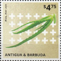 timbre succulent