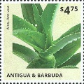 timbre succulent