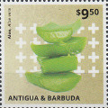 timbre succulent