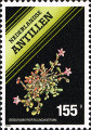 timbre succulent