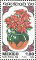 timbre succulent