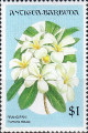 timbre succulent