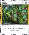 timbre succulent