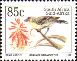 timbre succulent