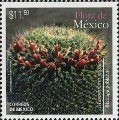 timbre succulent