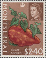 timbre succulent