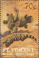timbre succulent