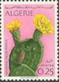 timbre succulent