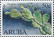 timbre succulent