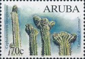 timbre succulent