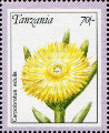 timbre succulent