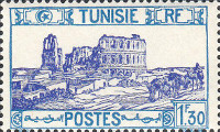 timbre succulent
