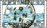 timbre succulent