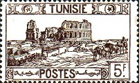 timbre succulent