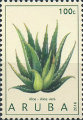 timbre succulent