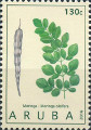 timbre succulent
