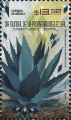 timbre succulent