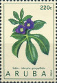 timbre succulent