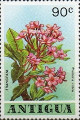 timbre succulent