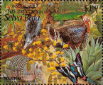 timbre succulent