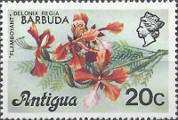 timbre succulent