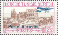 timbre succulent