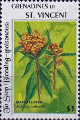 timbre succulent
