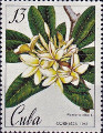 timbre succulent